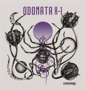 Odonata X 1 au Rat Rock festival