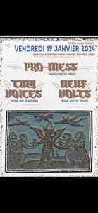 Tiny Voices + PRO-MESS + Neufs Volts