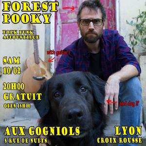 Forest Pooky Aux gogniols