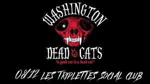Washington dead cats en Concert aux triplettes
